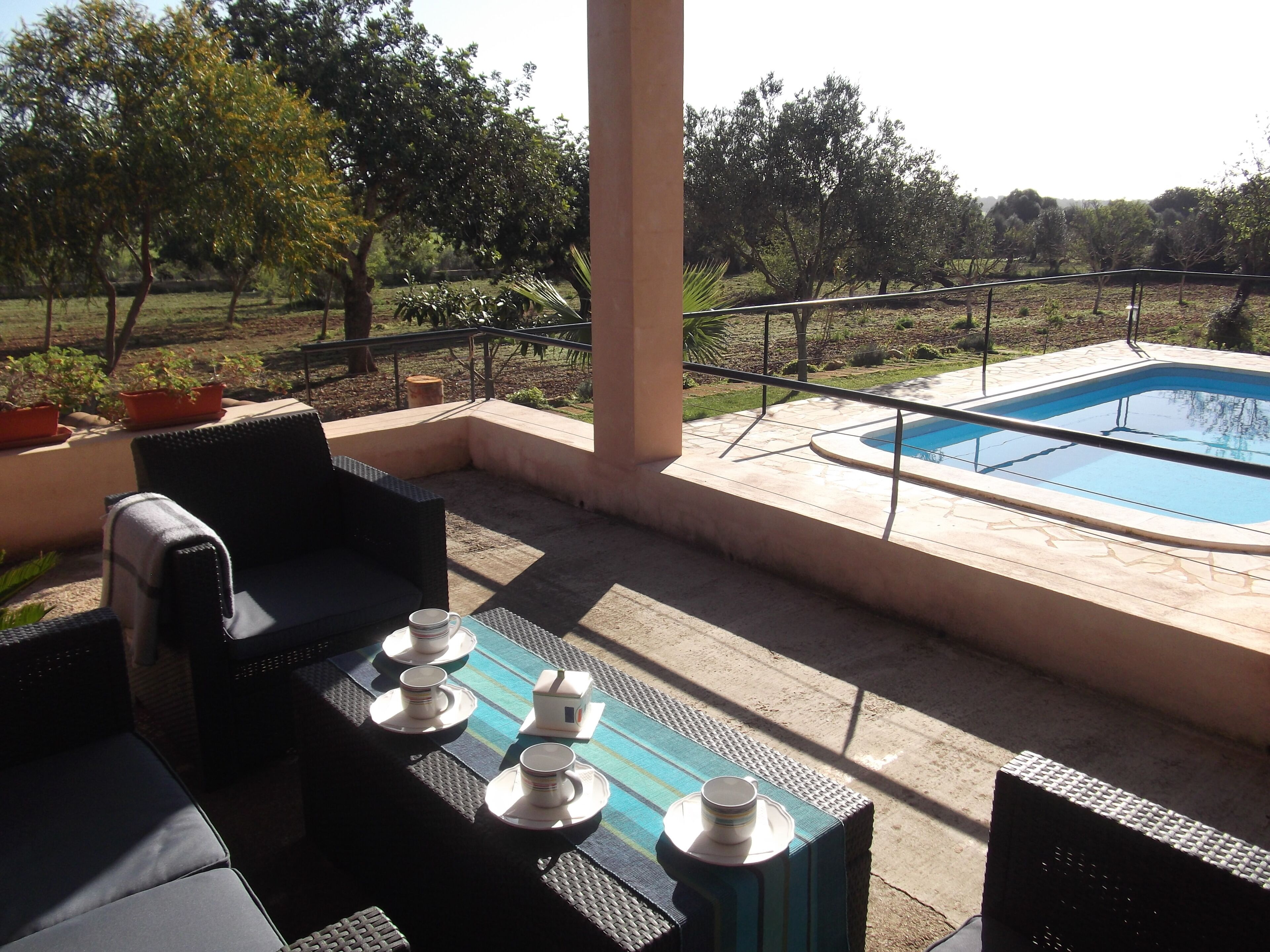 An outdoor seating area with a pool, surrounded by potted plants and trees.