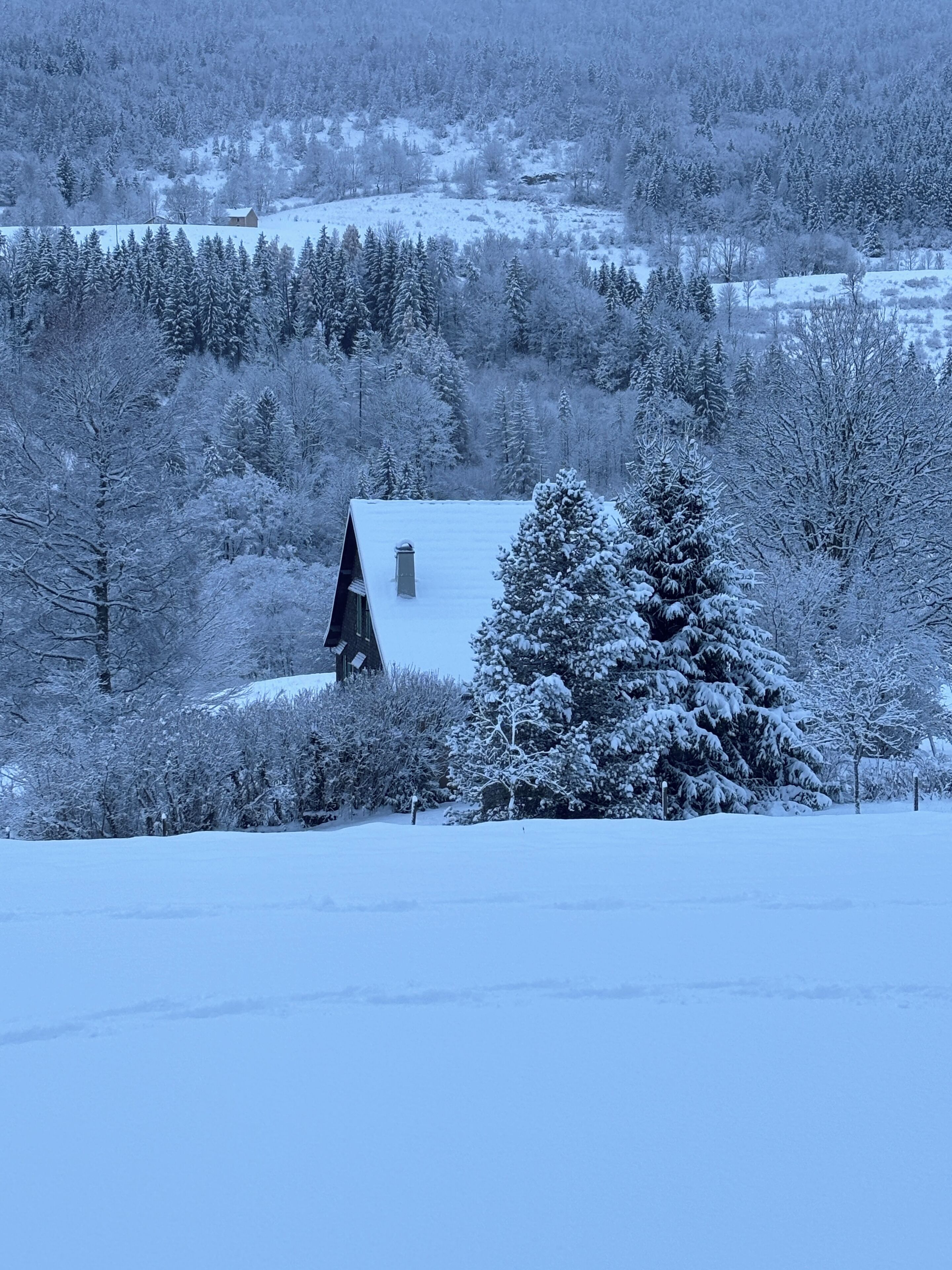 Un paysage enneigé avec une église et des arbres environnants.