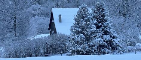 Un paysage enneigé avec une église et des arbres environnants.