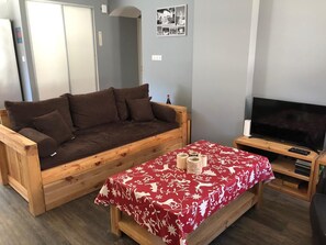 Télévision, lecteur de DVD, livres, vidéothèque