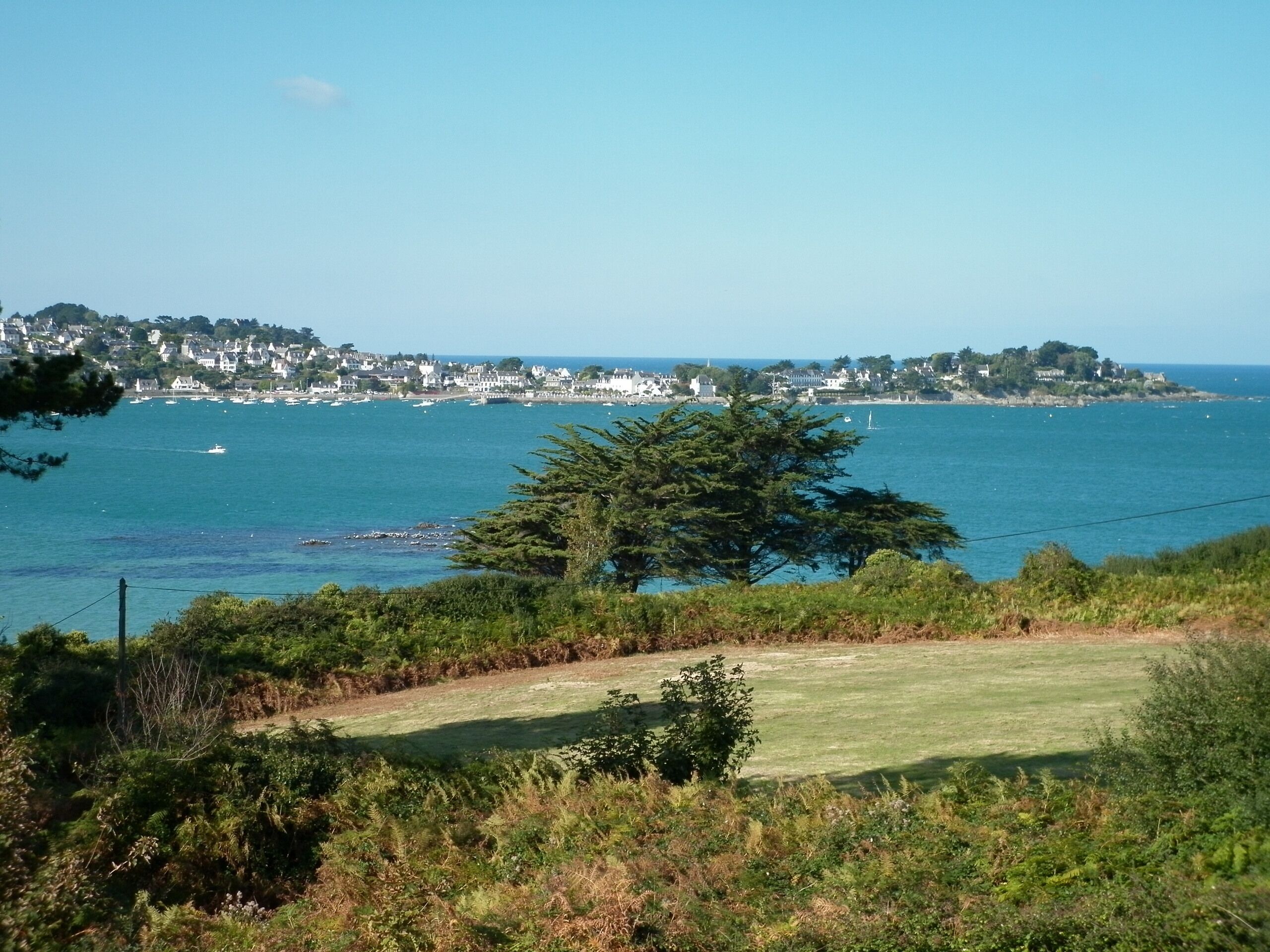 A coastal town with a view of the sea, a prominent tree, and a grassy area.