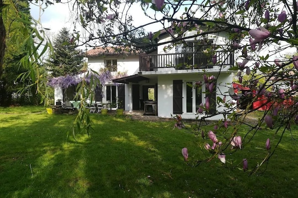 jardin plat arboré, au pied de bizkarzun