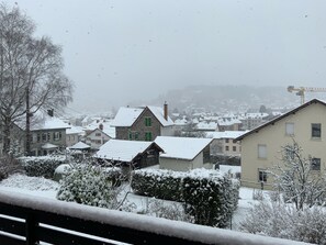 Property grounds - Coteau des Xettes - Pretty south-facing chalet (Gerardmer)