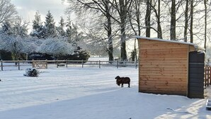 Un abri en bois se dresse dans un champ enneigé, avec une clôture et des arbres en arrière-plan.