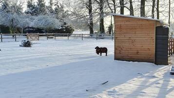Overnatningsstedets område