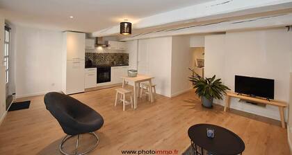 Loft cosy refait Ă  neuf CENTRE VILLE avec PARKING et WIFI