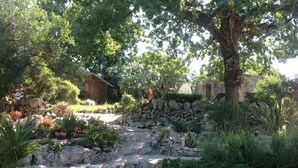 Un jardín con muro de piedra, diversas plantas y una estructura de madera.
