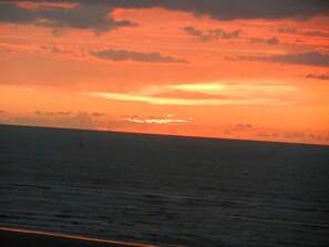 Tæt på stranden