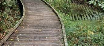 House "la paludière" in Rhuys Peninsula