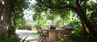 Charming rental in Luberon 'Sous le Figuier'