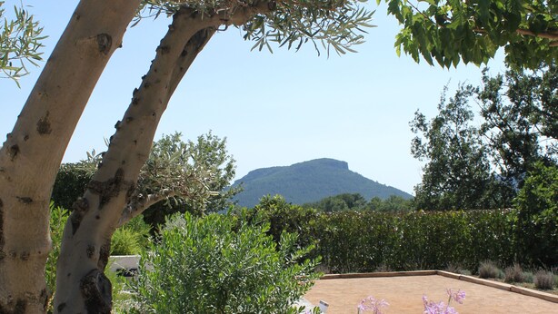 Un jardin aménagé avec un arbre, un chemin de gravier et une montagne en arrière-plan.