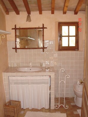 Combined shower/bathtub, bidet, towels, toilet paper