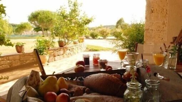 A breakfast table with fruits, bread, and drinks, set on a terrace with a view of trees and a stone wall. - Adorable guest apartment at the pool (Prayssas)