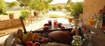 Adorable guest apartment at the pool