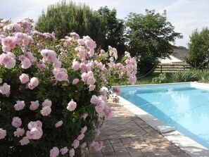 Pool - Adorable guest apartment at the pool (Prayssas)