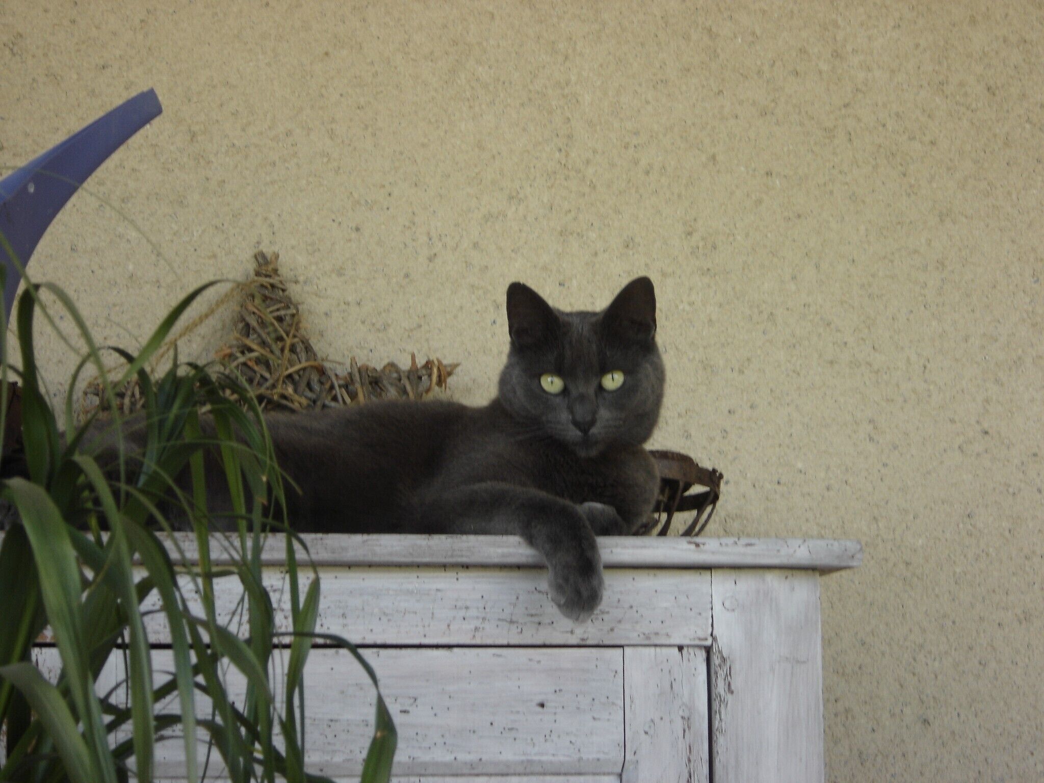 A black cat lying on a white wooden ledge against a beige wall.