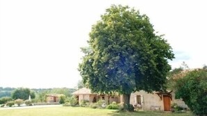 A rustic house with a large tree in front. - Adorable guest apartment at the pool (Prayssas)