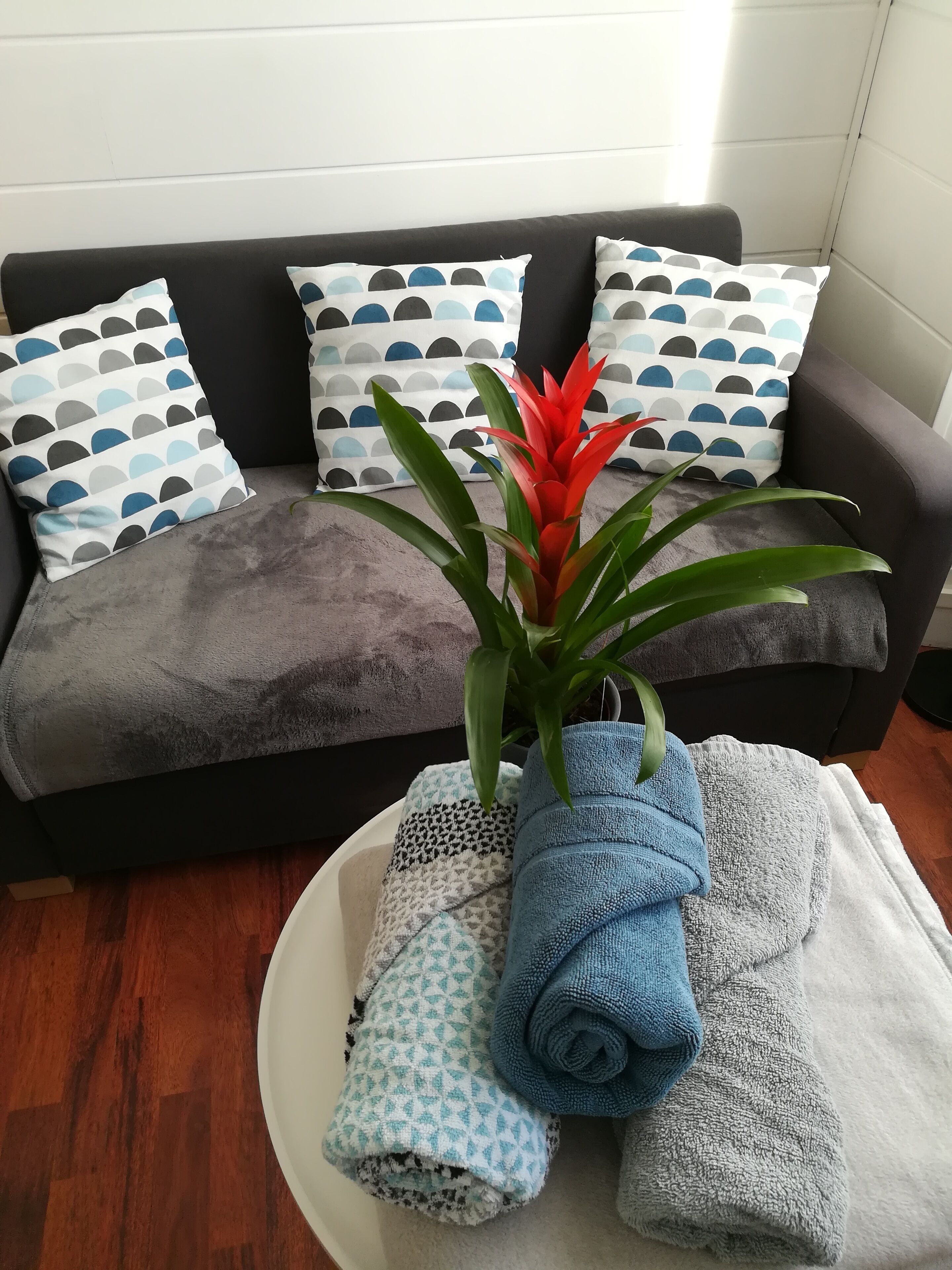 Bright studio in Brest center, near tramway