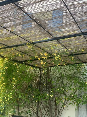 تفاصيل الفندق من الخارج