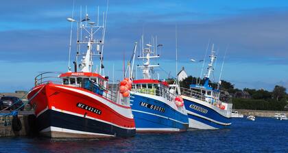 Breton cottage 300m from the beach, near the Côte de Granit Rose