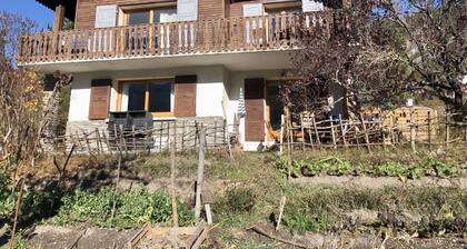 Large T2 on the garden level of CHALET in BARCELONNETTE (04400)