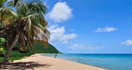 Gite-Appartement 5/7pers avec superbe terrasse Ă  350m de la plage de Grande Anse