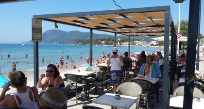 Charming garden level. Between beaches and coves. Sea view. Preserved and calm site.