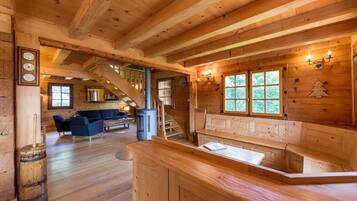 Télévision, cheminée, lecteur de DVD, livres