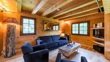 Télévision, cheminée, lecteur de DVD, livres