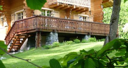 Cosy all-wood chalet, Chamonix valley, breathtaking Mont Blanc view