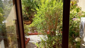 A view through a glass door into a garden area with various plants and a gravel path.