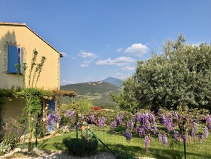 Property grounds - Lovely Pool Villa in Exceptional Setting with View (Suzette)