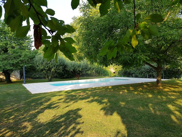 A swimming pool surrounded by well-maintained grass and trees.