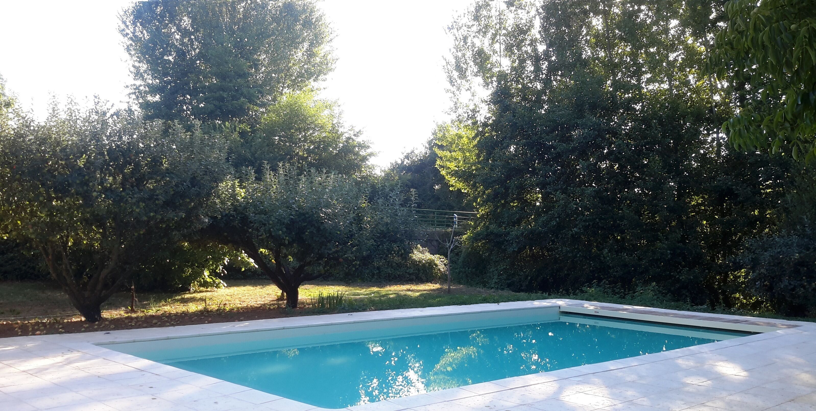 A rectangular swimming pool with a tiled edge, surrounded by a grassy area and trees.
