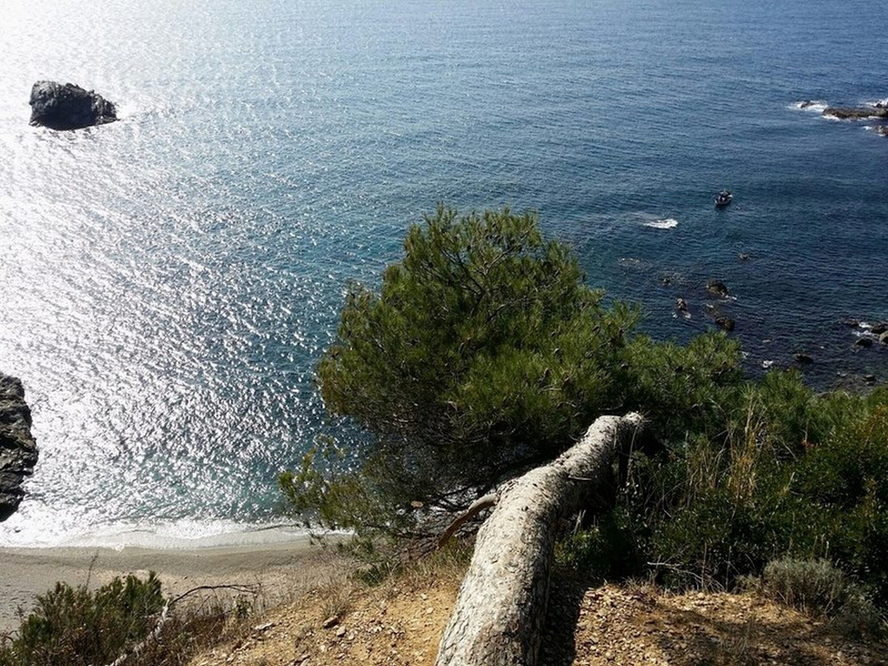 House of 150 m2 / Brusc pine forest / 100 m from the sea // Vermietung eines Hauses,