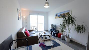 Télévision, lecteur de DVD, livres, vidéothèque