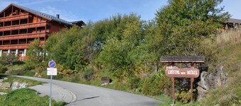 APPARTEMENT LE CRISTAL DES NEIGES