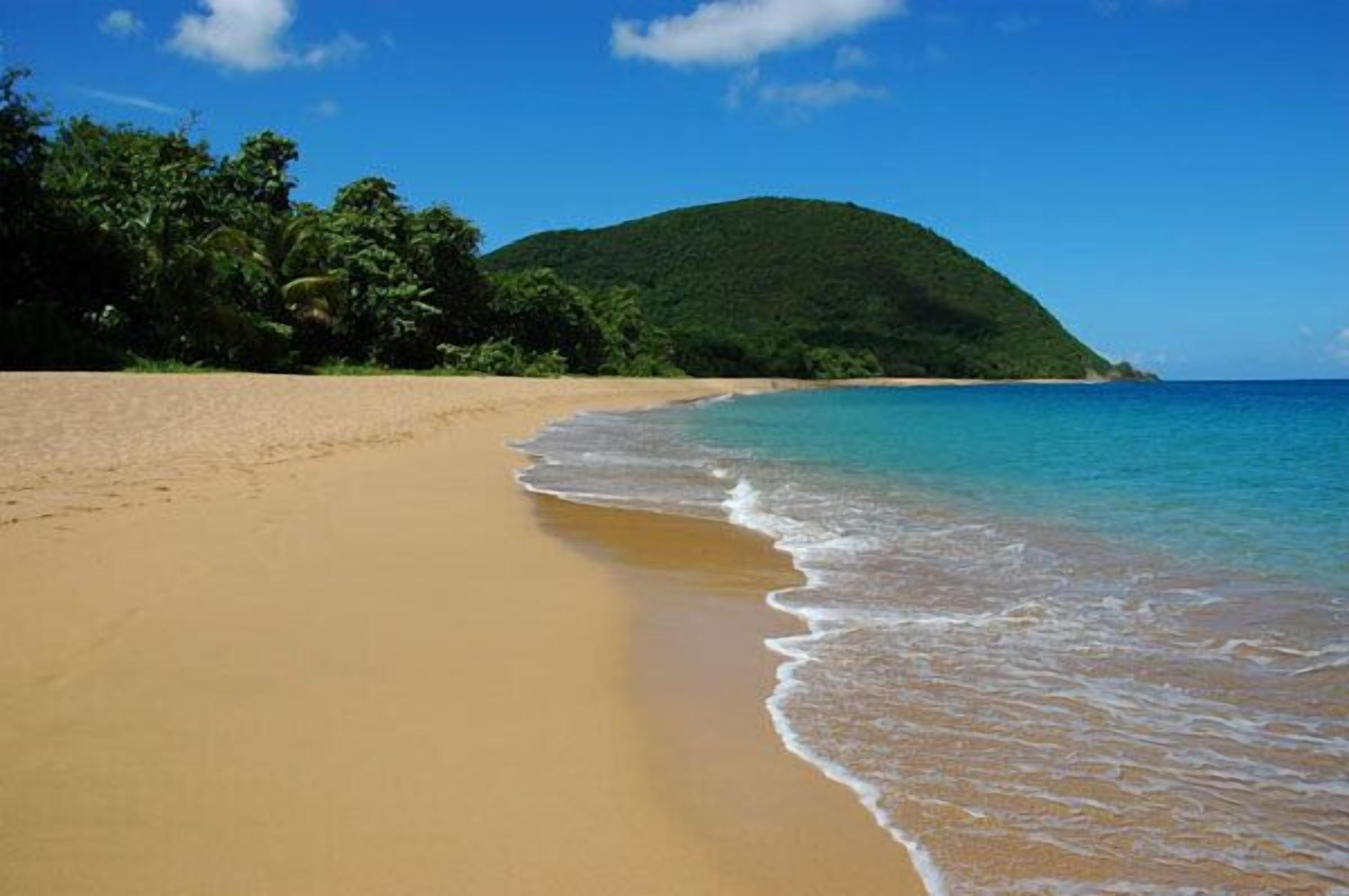 A beach with clear turquoise water, a sandy shore, and a green hill in the background.