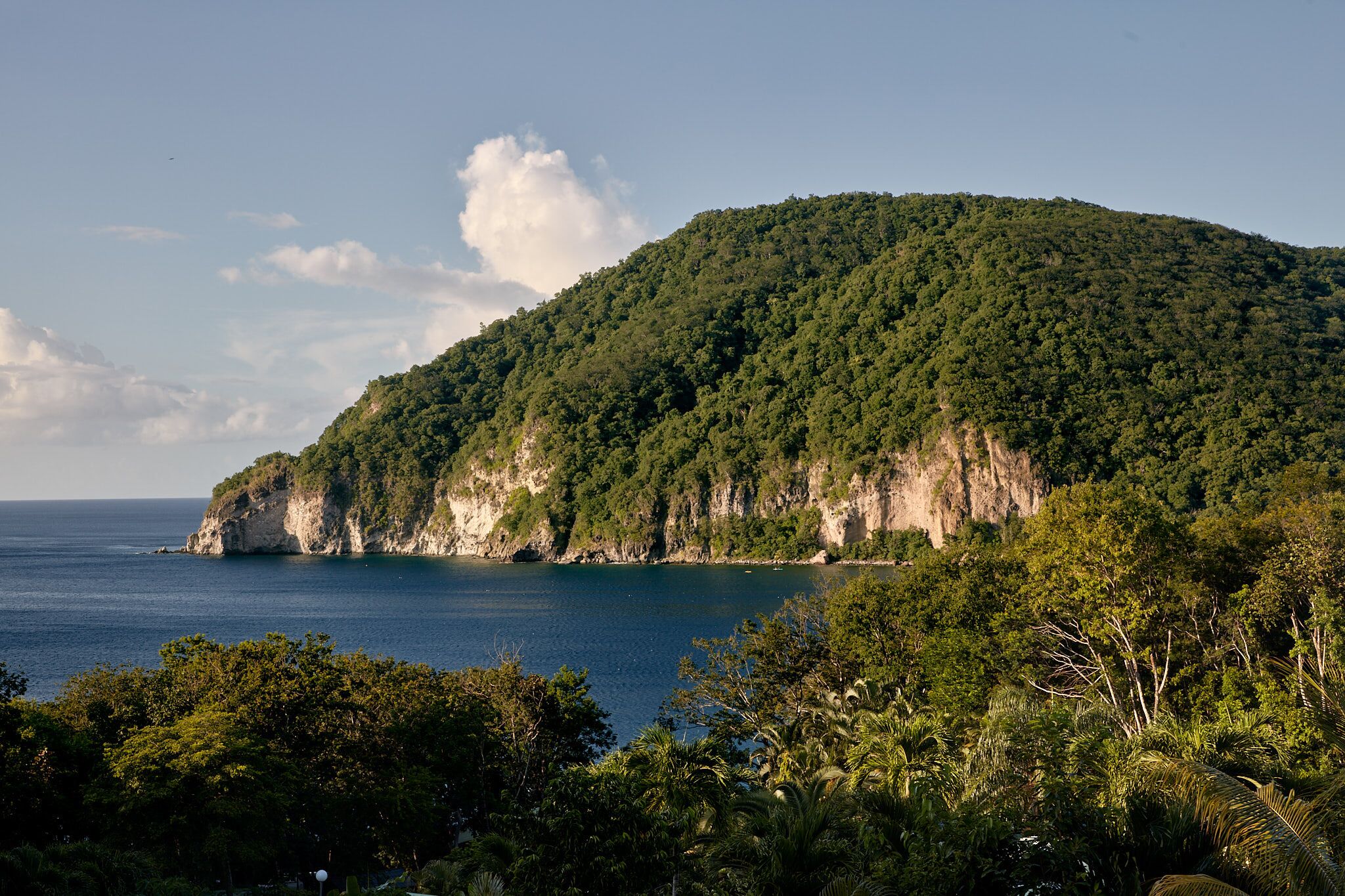 Un paisaje costero con una colina destacada cubierta de densa vegetación verde, que domina un mar tranquilo.