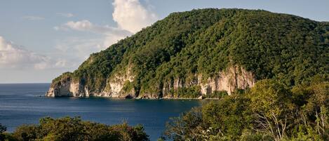 Un paisaje costero con una colina destacada cubierta de densa vegetación verde, que domina un mar tranquilo.