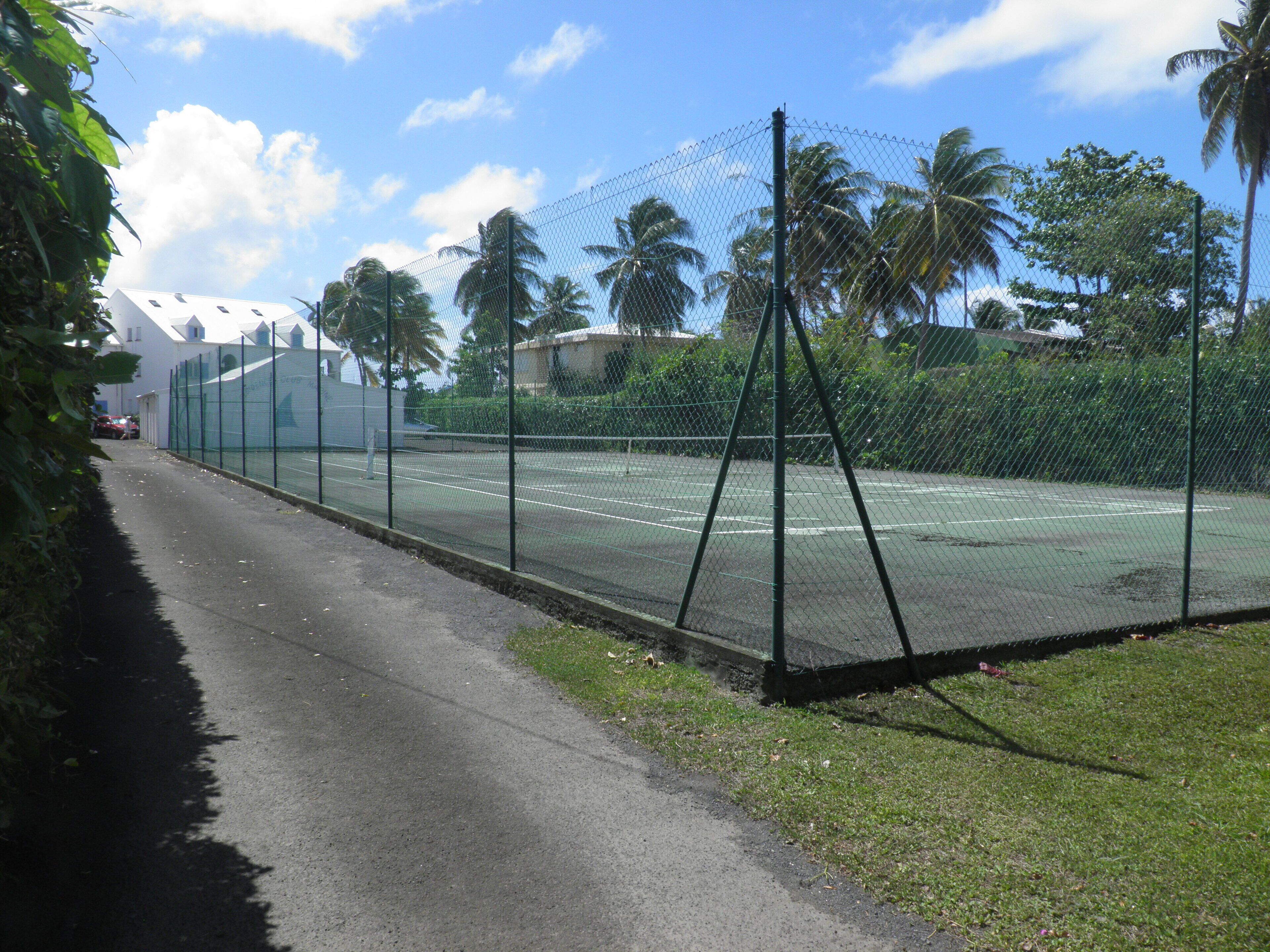 Un court de tennis entouré d’une clôture, avec un ciel dégagé et des palmiers en arrière-plan.