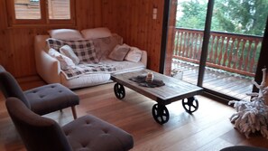 TV, fireplace, books, offices