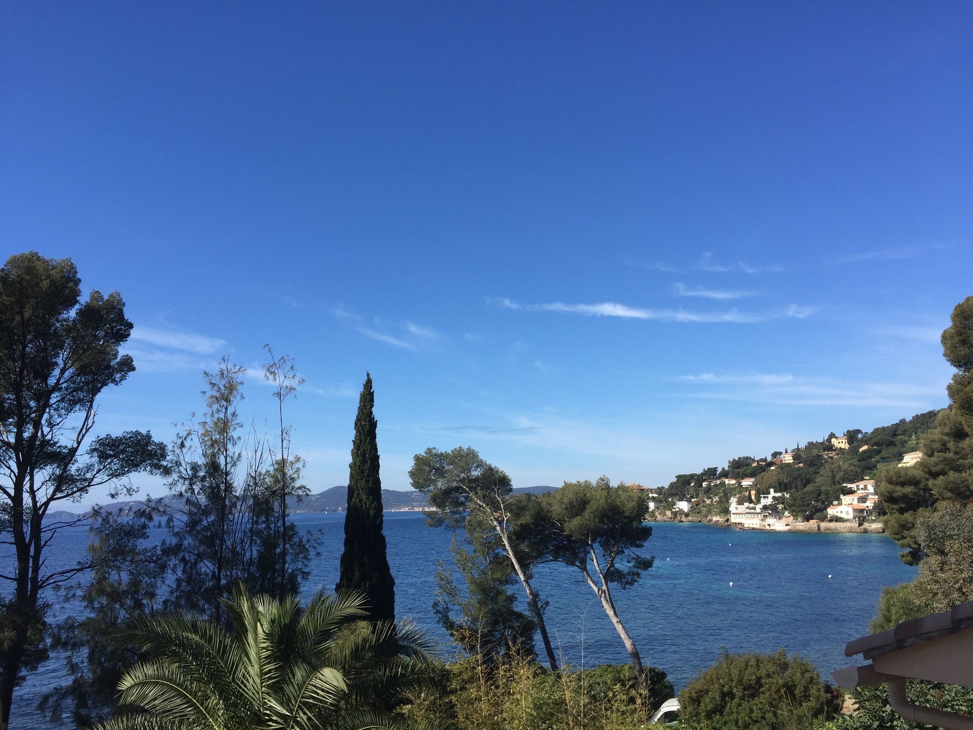 Eine Küstenlandschaft mit blauem Himmel, Bäumen und Blick auf das Meer.