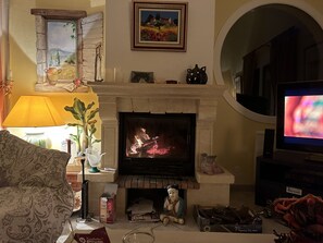 TV connectée, cheminée, lecteur de DVD, livres