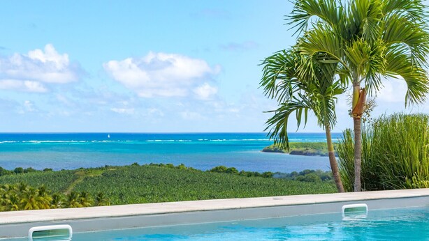 Una piscina con vistas al océano y palmeras.