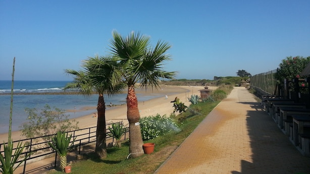 A beachside walkway with palm trees and a view of the ocean. - Villa MALYMA direct beach access (Zahora)