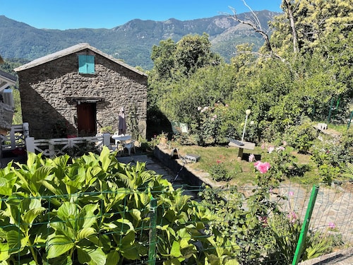 Small house in the mountains in the heart of the chestnut grove in a village