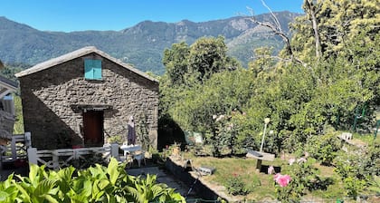 Small house in the mountains in the heart of the chestnut grove in a village