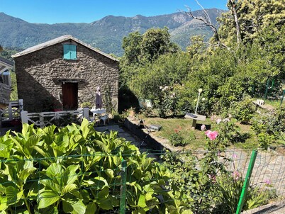 Small house in the mountains in the heart of the chestnut grove in a village