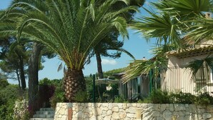 A stone wall with outdoor seating, a palm tree, and a fence. - In Tourettes-sur-Loup, charming gite with infinity pool (Tourrettes-Sur-Loup)